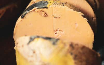 Recette : Bouchées de Foie Gras à la mangue et pain d’épices