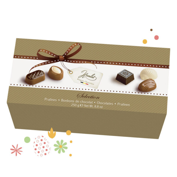 Cadeau - Coffret de chocolat Hamlet 250g
